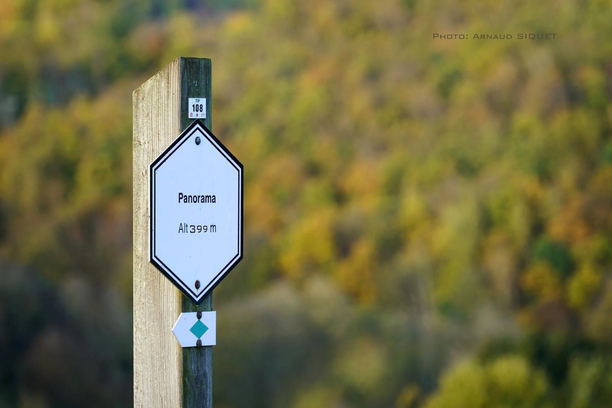 Gite Altitude 399 A Trois-Ponts Basse-Bodeux Dış mekan fotoğraf